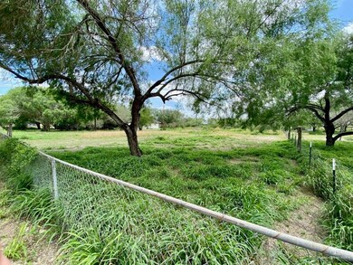 2551 N Sugar Rd, Edinburg, TX 78541 - photo 5