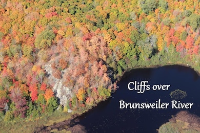 63999 Wolanek Rd unit 313 acres, Marengo, WI 54855 - photo 5