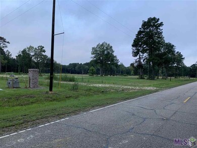 B-1-A-3 Zeb Chaney Rd, Zachary, LA 70791 - photo 2