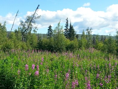 20140729_162335.jpg
