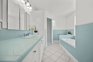 24414 NW 94th Ave, Alachua, FL 32615 - photo 5