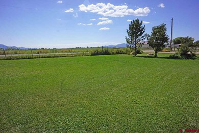 0 Road 23 25 Loop unit 750622, Dolores, CO 81323 - photo 4