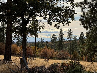 0 Jensen Quarry Rd unit 458778571, Bickleton, WA 99322 - photo 7