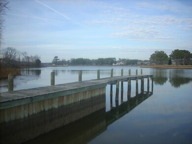 Community dock