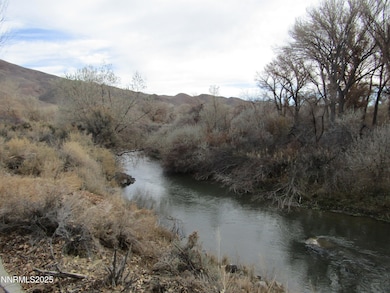 158 E Walker Rd, Yerington, NV 89447 - photo 2