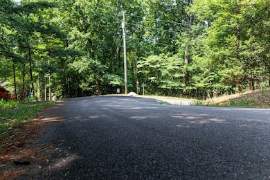 lt 269 Suwnee Ct, Ellijay, GA 30540 - photo 6