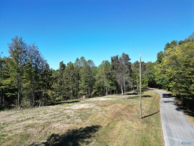 Tract1 Gunter Hollow Rd, Pulaski, TN 38478 - photo 4