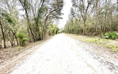10 NE Tansy Road Lot 29, Mayo, FL 32066 - photo 5