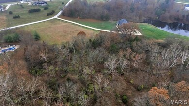 10615 Polo Downs Pkwy, Dutzow, MO 63042 - photo 6