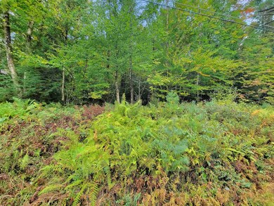 201-096 Lakeside Dr, Haverhill, NH 03784 - photo 2