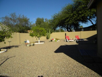 Large Yard