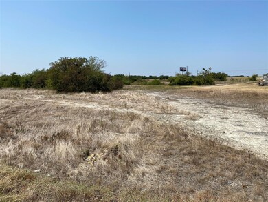 138 Carter Hills Ln, Weatherford, TX 76085 - photo 4