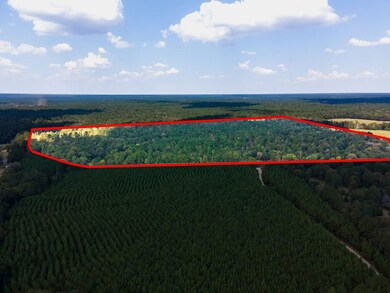 Tbd Cr 2798, Goober Hill, TX 75973 - photo 6