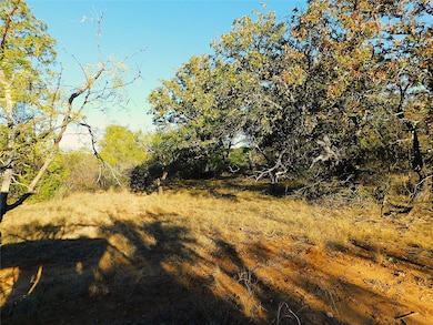 Tract 4 County Road 131, Brownwood, TX 76801 - photo 5