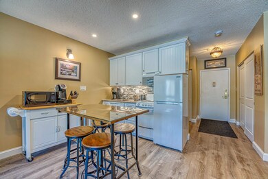 36 Lodge Rd unit D107, Lincoln, NH 03251 - photo 5