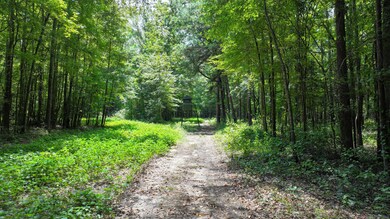DJI_20240806120308_0136_D