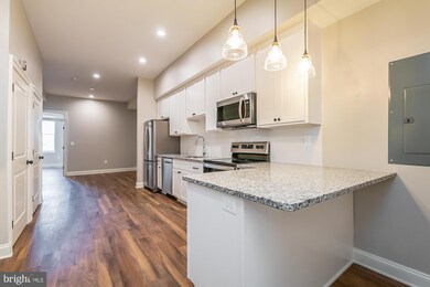 137 E North Ave unit 2, Baltimore, MD 21202 - photo 4