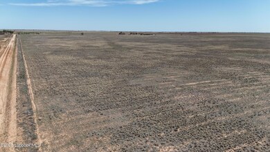 dji_fly_20250408_145426_0331_17441415800