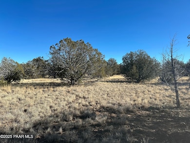 2249 W Cienega Dr, Ash Fork, AZ 86320 - photo 2