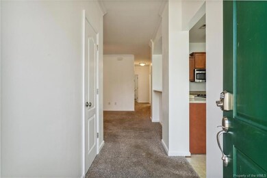 303 Blue Heron Trail, Carrollton, VA 23314 - photo 6