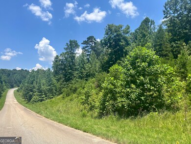 3853 Reservoir Dr unit TRACT 12, Gainesville, GA 30507 - photo 7