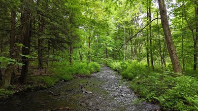 192 New York 13, Williamstown, NY 13493 - photo 6