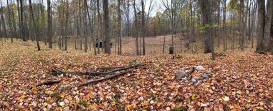 IMG_3954