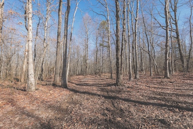 Marion9-32