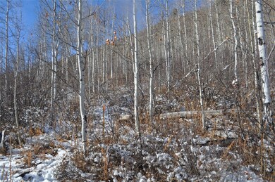Heavily treed with aspens and miscellaneous bushes