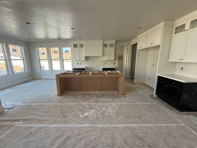 819 N 150 E unit 6, American Fork, UT 84003 - photo 5