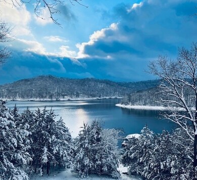 0 Tbd Tract 4 Dam Site Loop, Garfield, AR 72732 - photo 5