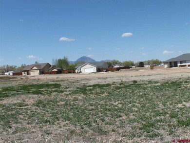 Lot 9 Kaleigh Cir, Cortez, CO 81321 - photo 4