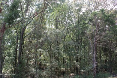 17 Old Barn Cove, Hernando, MS 38632 - photo 3