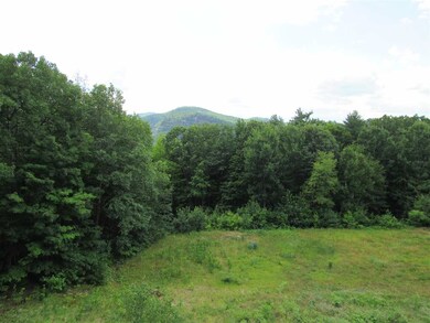 46-1 Merriman Forest Dr unit 46-1, Bartlett, NH 03845 - photo 4