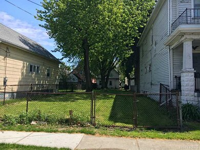 Yard/Garden.