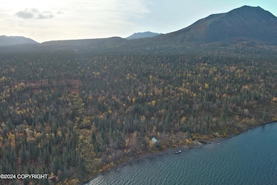 L1B4 Black Bear & Grizzly Rd, Aleknagik, AK 99555 - photo 3
