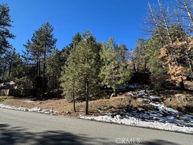 0 Flume unit HD25262637, Wrightwood, CA 92397 - photo 2