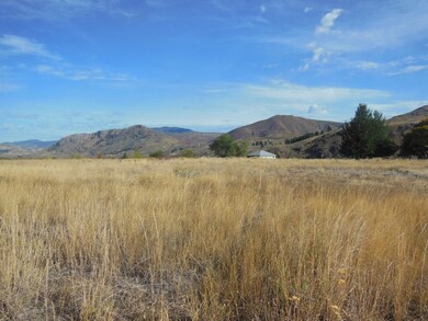 0 May St unit 706766, Twisp, WA 98856 - photo 3