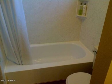 Phoenix-20121201-00073