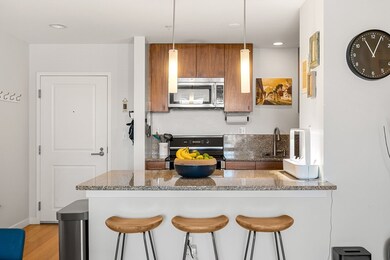 Audubon Park unit 505, Boston, MA 02215 - photo 3