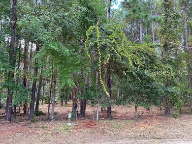 464 Paige Point Bluff, Seabrook, SC 29940 - photo 5