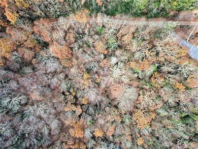 Birds eye view of lot from drone