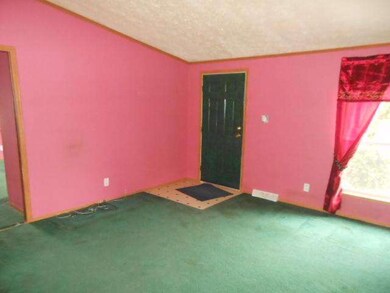 P-064 State Route 65, McClure, OH 43534 - photo 3