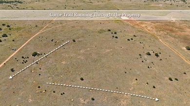Camino Del Desierto, Cubero, NM 87321 - photo 3