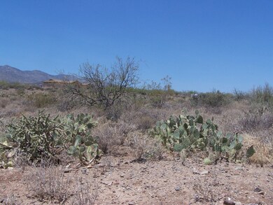 View to North
