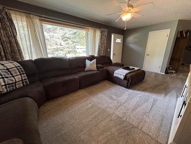 540 18th St SW, Huron, SD 57350 - photo 5