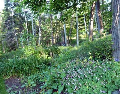 Land/Lot.