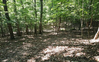 Additional View