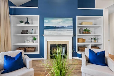 Fireplace and Built In Shelving