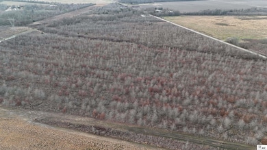 000 Futch Rd, Rayville, LA 71269 - photo 4